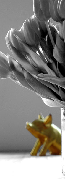 Goldenes Schwein hinter Tulpen Goldenes Schwein hinter Tulpen